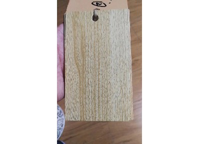 水轉印粉末涂料 (6)